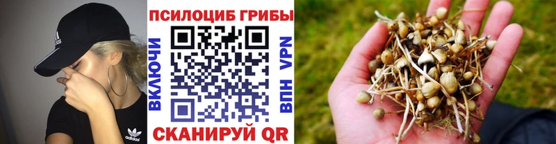 Псилоцибиновые грибы ЛСД Снежногорск