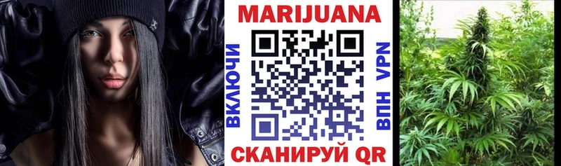 где можно купить наркотик  Снежногорск  Шишки марихуана AK-47 